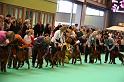 Crufts2010 1318